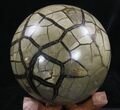 Polished Septarian Puzzle Geode - Black Crystals #33729-4